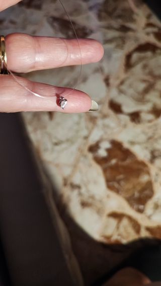 Punto luce Moissanite Argento