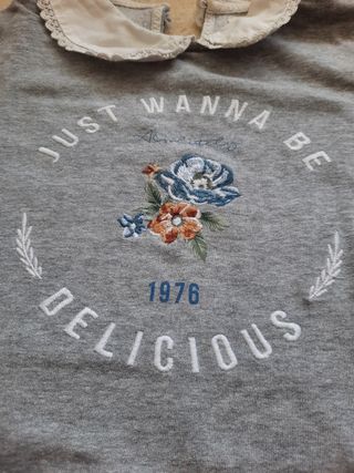 Sudadera Springfield gris bordada