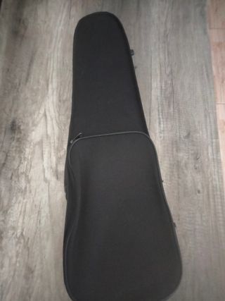 Violín con funda y arco