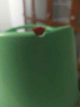 Vasca bagno OK Baby verde