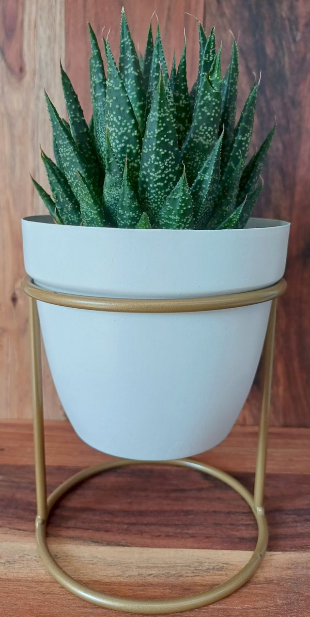 fioriera bianca con supporto