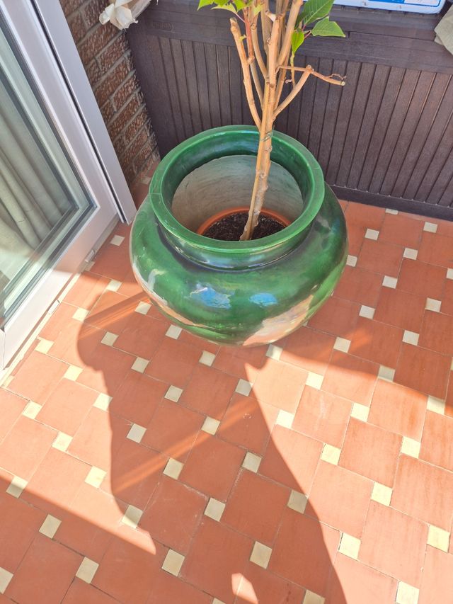 Macetero y jarrones grandes de porcelana