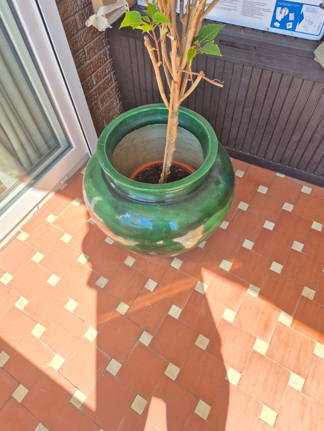 Macetero y jarrones grandes de porcelana