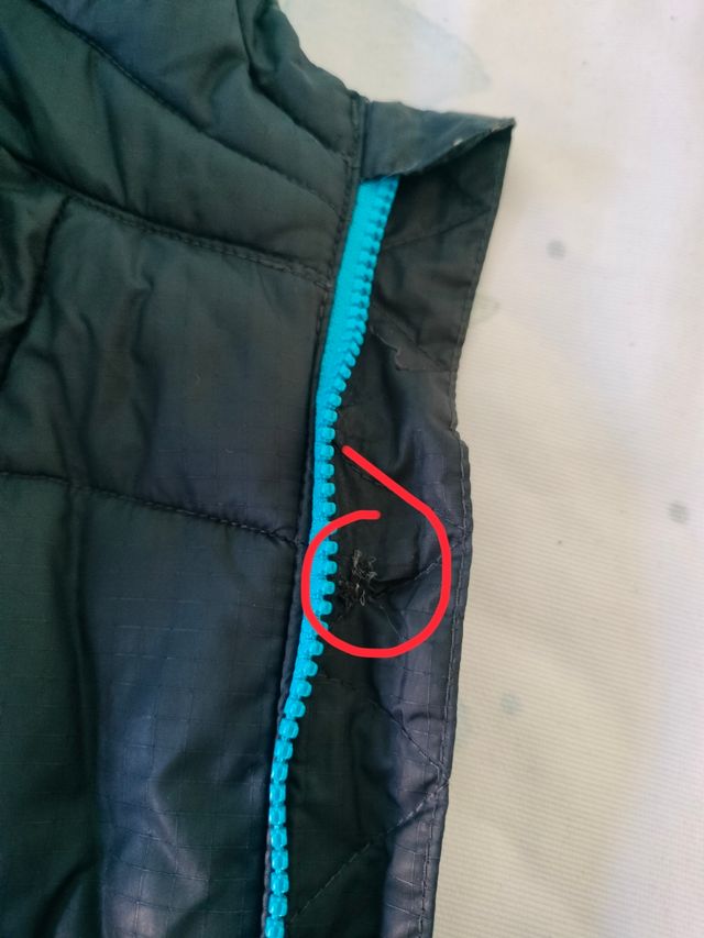 Plumas Levi's con capucha y relleno sintético