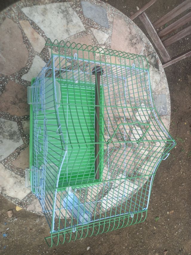 Jaula para pájaros verde y Blanco
