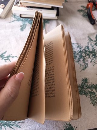 ⭐1919⭐En la tribuna