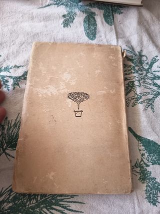 ⭐1919⭐En la tribuna