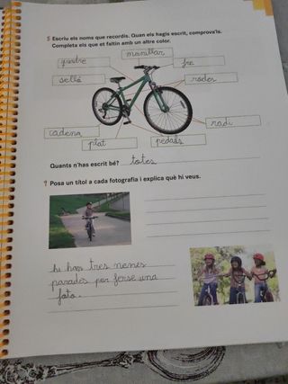 Practica i aprèn Llengua catalana 2 Primària