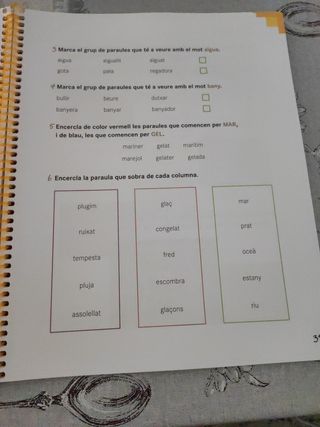 Practica i aprèn Llengua catalana 2 Primària