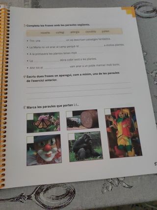 Practica i aprèn Llengua catalana 2 Primària