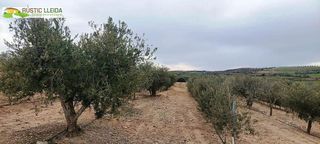 Terreno en venta en Tàrrega