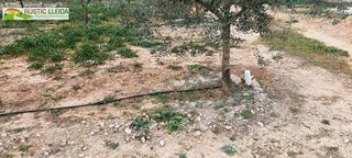 Terreno en venta en Tàrrega