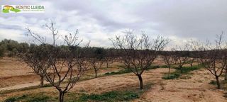 Terreno en venta en Tàrrega