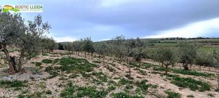 Terreno en venta en Tàrrega