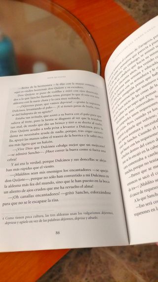 Don Quijote - Cucaña (Cucana) (Spanish Edition)