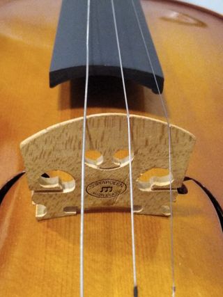 Violín 3/4 con maletín y mentonera