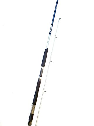 CAÑA PESCA, FONDEO, CAÑA SILURO,