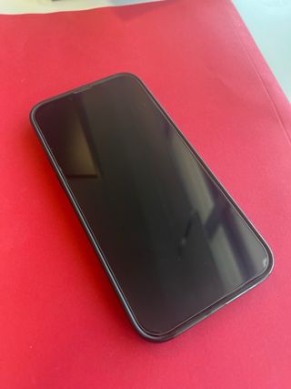 iPhone 13 Pro Max 256GB