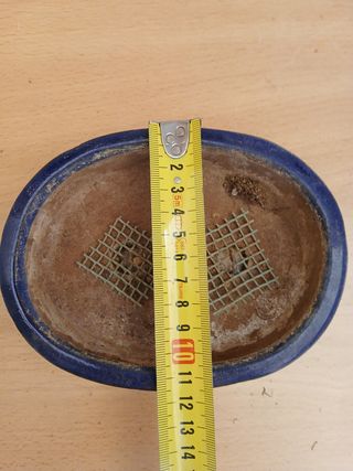 Maceta bonsai ovalada azul