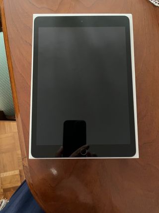 iPad 256 GB Gris Espacial