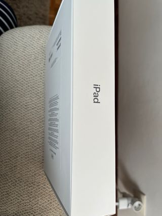 iPad 256 GB Gris Espacial