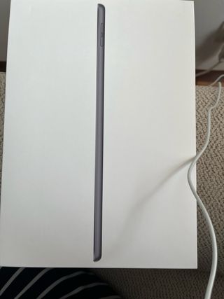 iPad 256 GB Gris Espacial