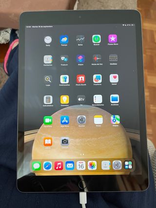 iPad 256 GB Gris Espacial
