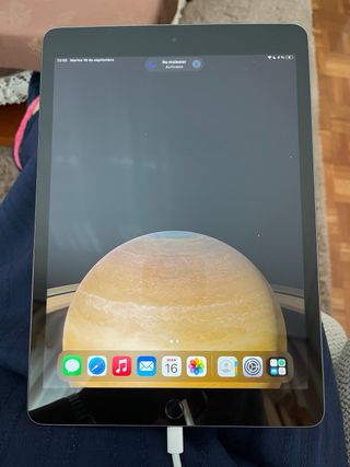 iPad 256 GB Gris Espacial