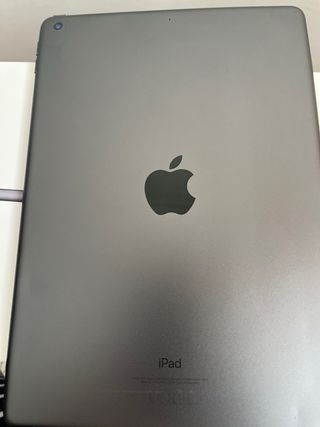 iPad 256 GB Gris Espacial
