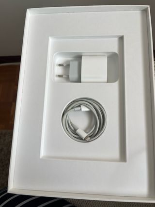 iPad 256 GB Gris Espacial