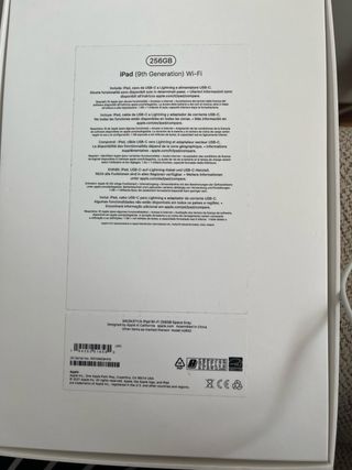 iPad 256 GB Gris Espacial