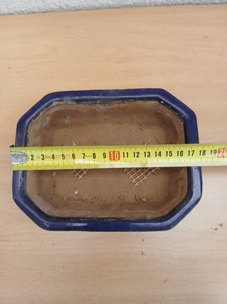 Maceta bonsai cerámica azul