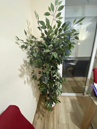 Planta Artificial Decorativa