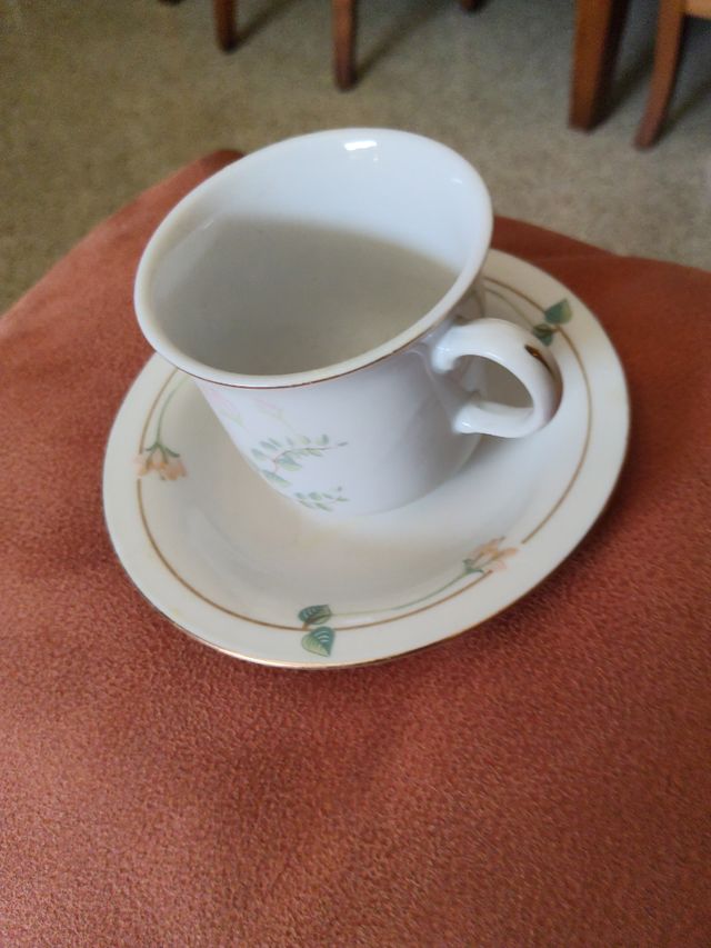 Taza y plato de porcelana 10 platos y 10tazas