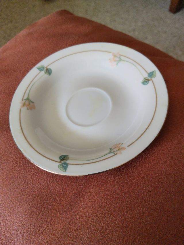 Taza y plato de porcelana 10 platos y 10tazas