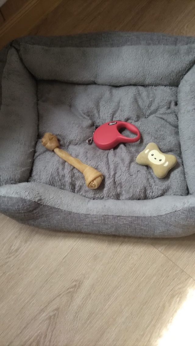 Cama para mascotas con juguetes de regalo