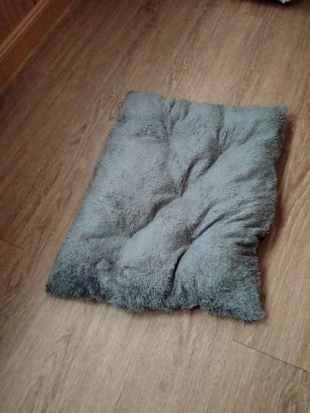 Cama para mascotas con juguetes de regalo