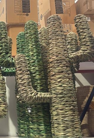 Cactus de mimbre 1m