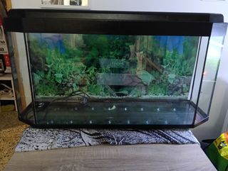 Acuario 150L con tapa y termo. bien conservado