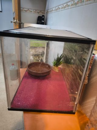 Acuario de metraquilato o plástico duro.
