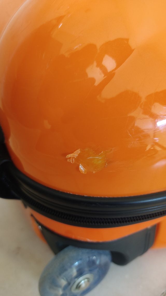 Maleta infantil león