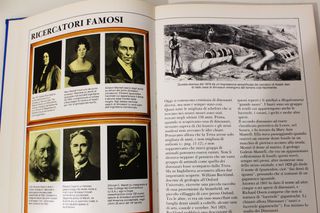 Dinosauri lotto 5 Libri Anni 90 (Uno Raro)