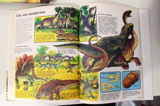 Dinosauri lotto 5 Libri Anni 90 (Uno Raro)