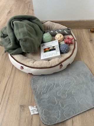 Pack perro: cama, manta y juguetes