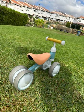 Correpasillos bebé Moltó