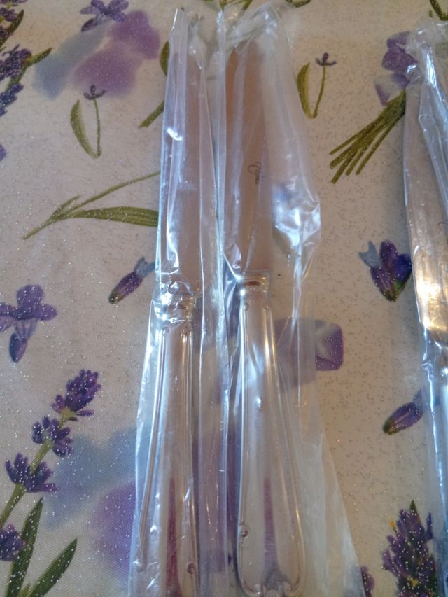 12 
Coltello da tavola inox cm 23