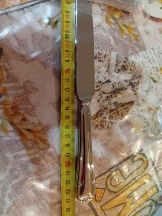 12 Coltello+12 Forchette da Tavola inox