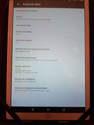 Tablet LEICE 10 Snapdragon 870 16GB/512GB