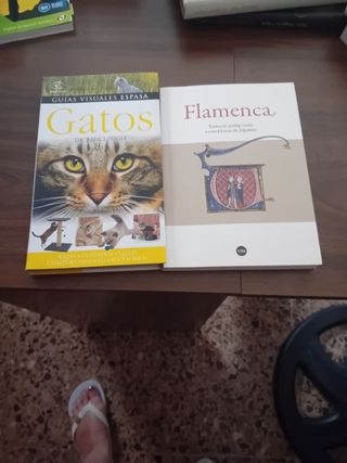 Libro Gatos de Bruce Fogle