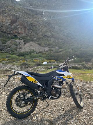 Um Dsr Ex 125